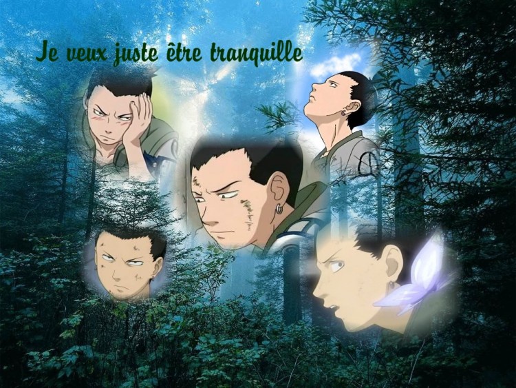 Wallpapers Manga Naruto Shikamaru