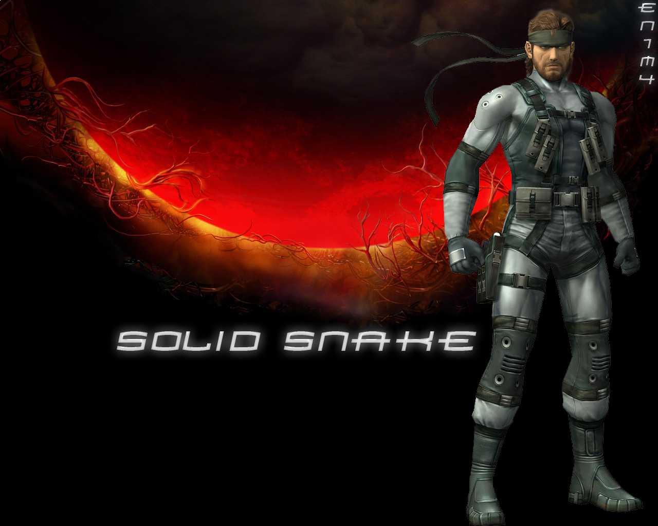 Wallpapers Video Games Metal Gear Solid 4 Solid Snake du MGS 2 ( la classe !! )