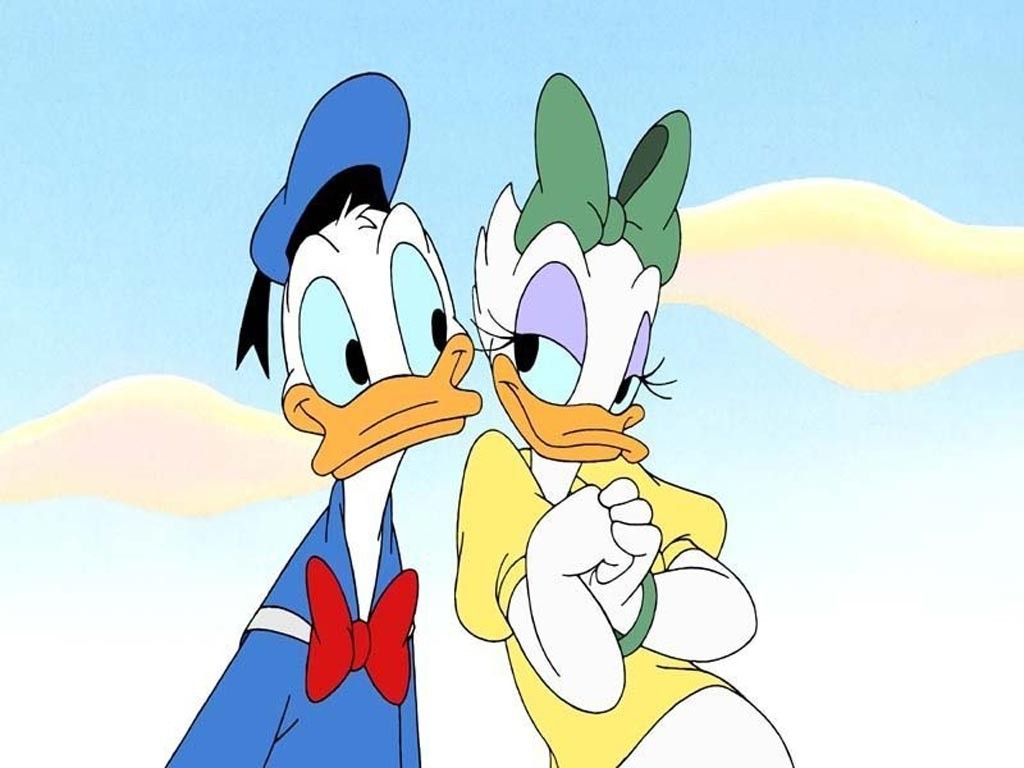 Wallpapers Cartoons Donald and Cie donald