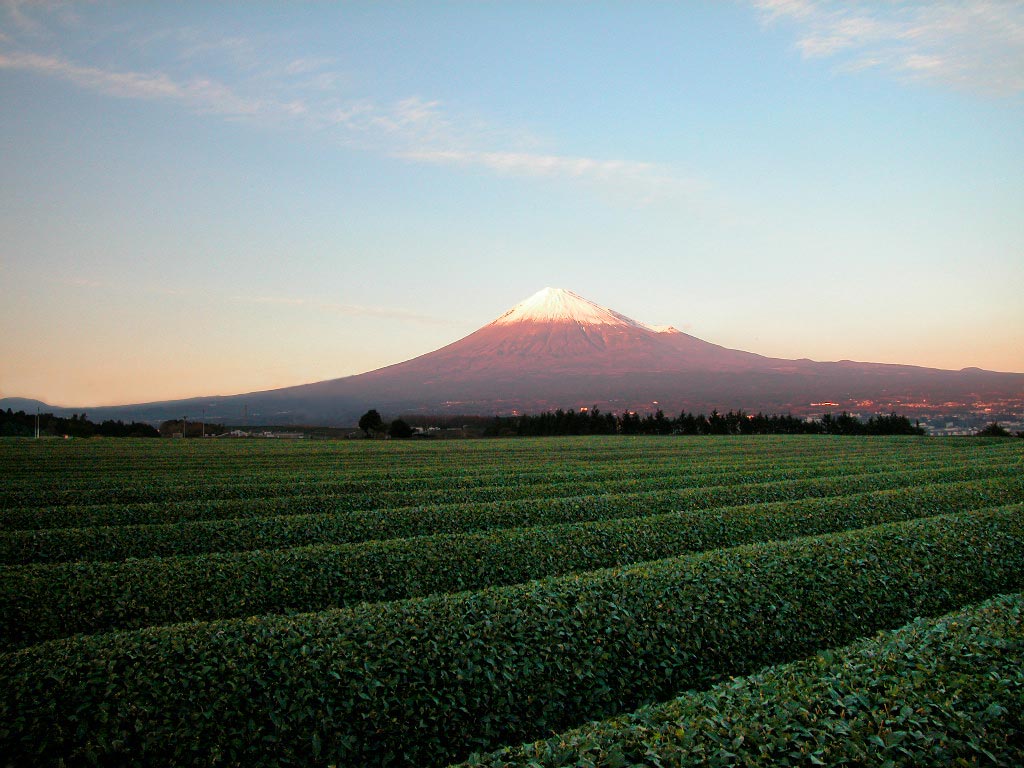 Fonds d'cran Voyages : Asie Japon Mont Fujiyama