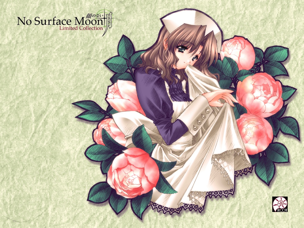 Wallpapers Manga Moonlight Lady fwall5