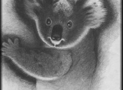 Wallpapers Art - Pencil Mom Koala