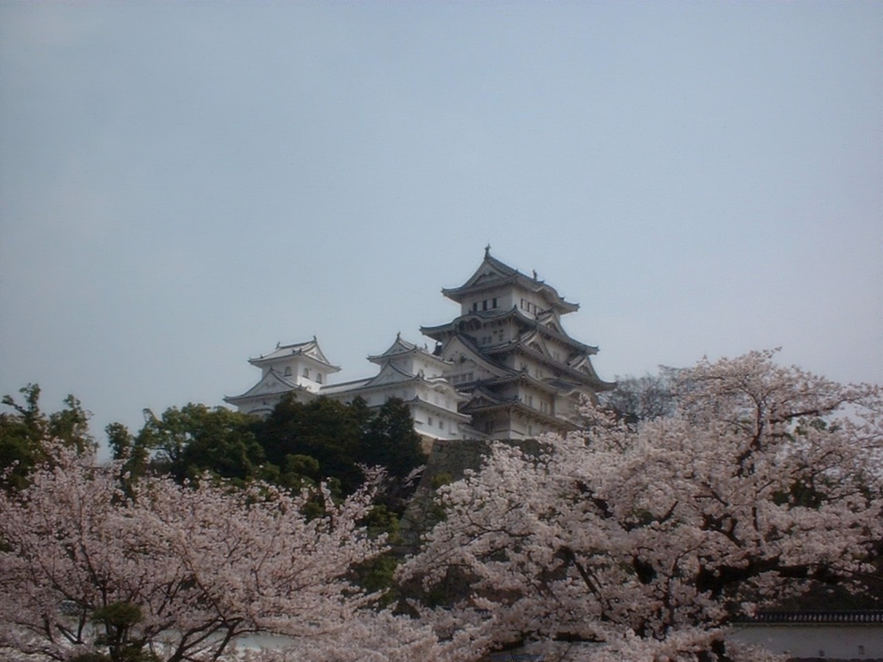 Fonds d'cran Voyages : Asie Japon chteau Himeji