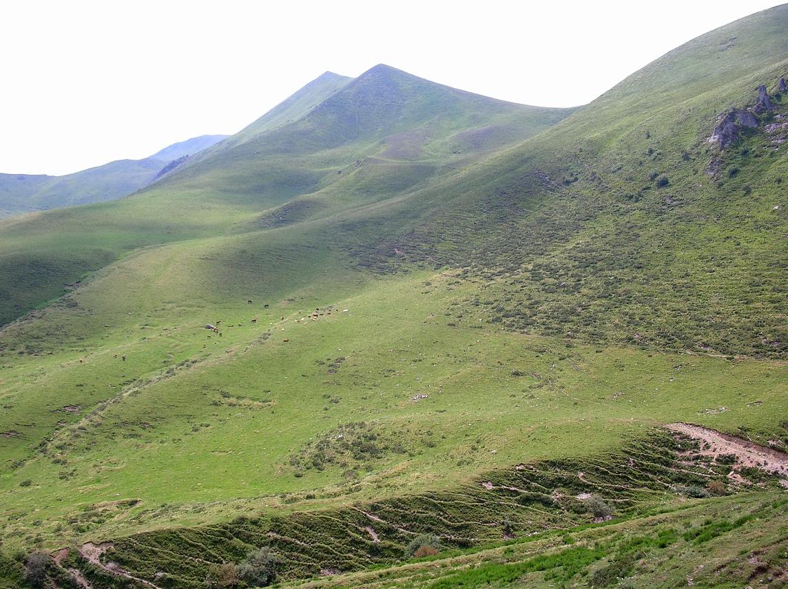 Fonds d'cran Nature Montagnes Massif du Sancy