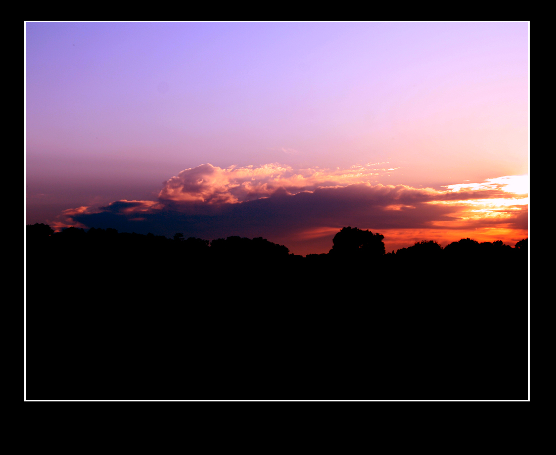 Fonds d'cran Nature Couchers et levers de Soleil Couch de soleil sur la fort