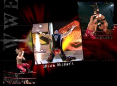 Wallpapers Sports - Leisures shawn michaels