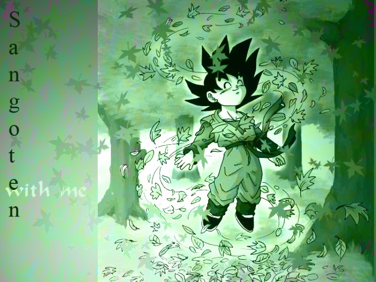 Fonds d'cran Manga Dragon Ball Z sangoten