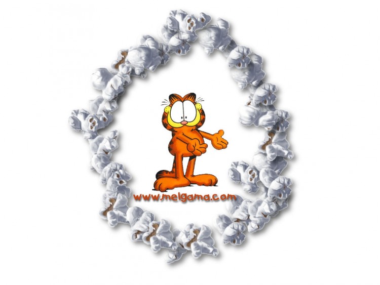 Fonds d'cran Dessins Anims Garfield 04 !