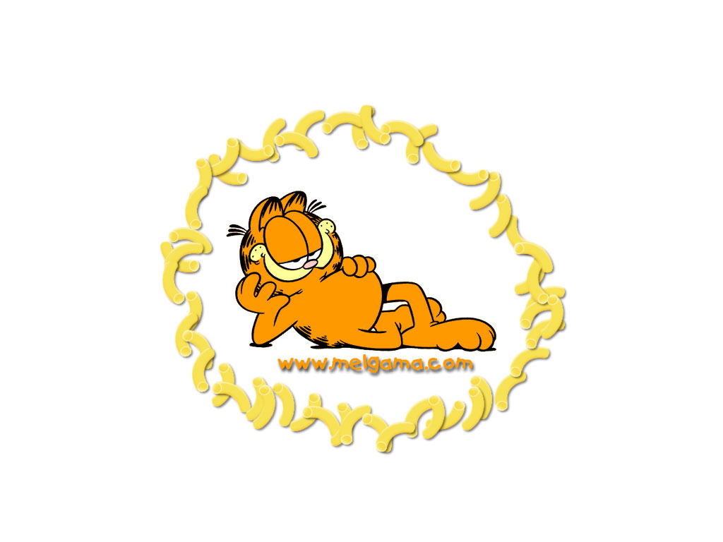 Fonds d'cran Dessins Anims Garfield 06 !