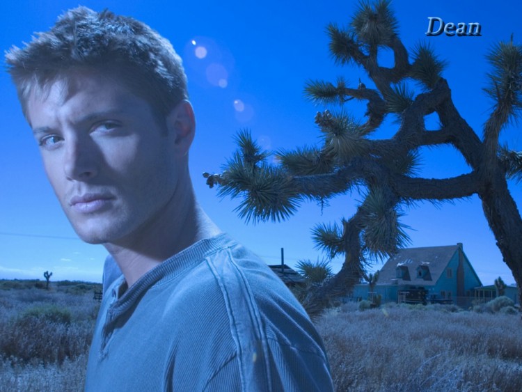 Wallpapers TV Soaps Supernatural Dean