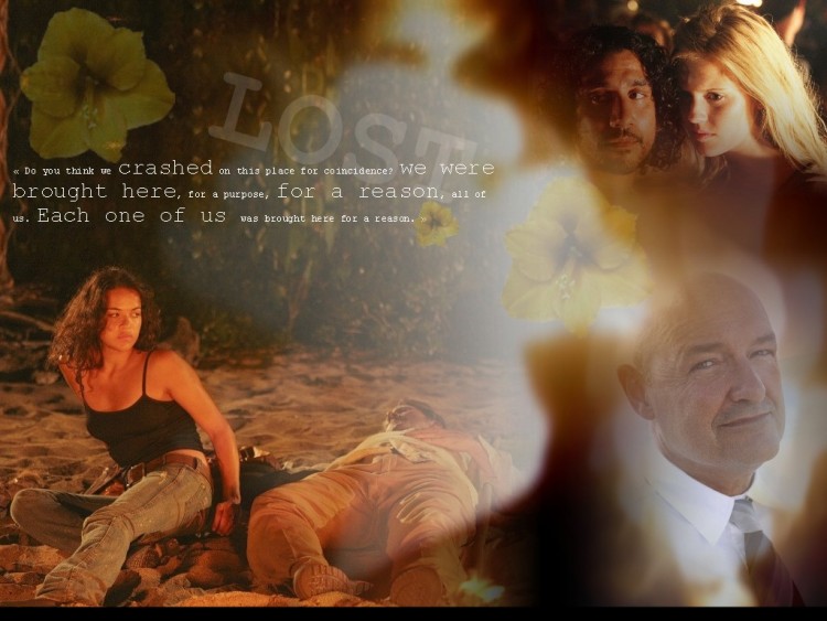 Fonds d'cran Sries TV Lost, les Disparus Wallpaper N151994