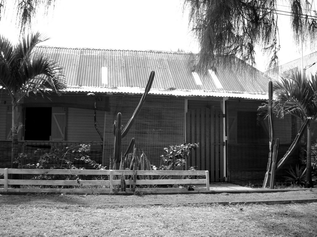 Fonds d'cran Constructions et architecture Maisons CASE EN BOIS SOUS TOLE