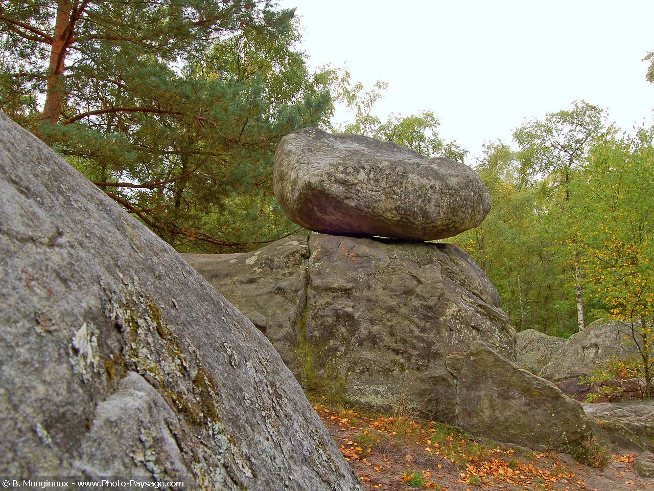 Wallpapers Nature Trees - Forests Le chaos des Gorges d'Apremont, Fort de Fontainebleau