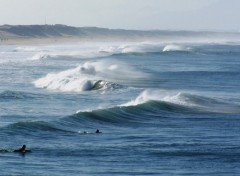 Fonds d'cran Nature Surf attitude