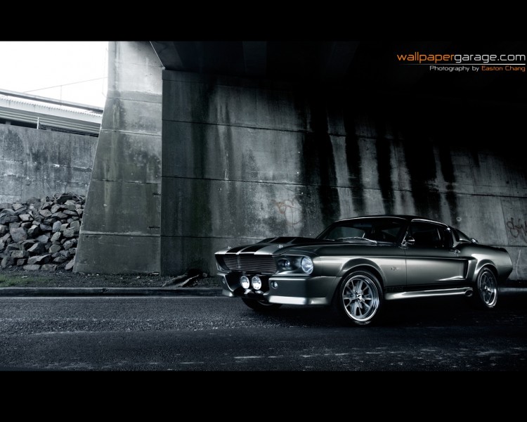 Fonds d'cran Voitures Shelby GT 500