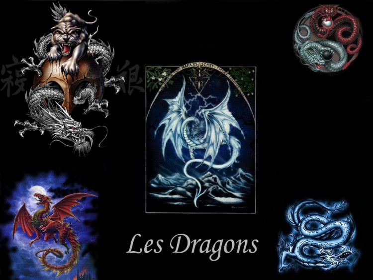 Fonds d'cran Fantasy et Science Fiction Cratures : Dragons Wallpaper N152385