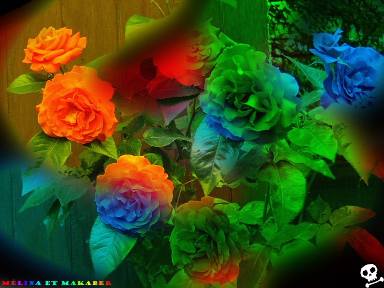 Wallpapers Digital Art 3D - Various Wallpaper N152395