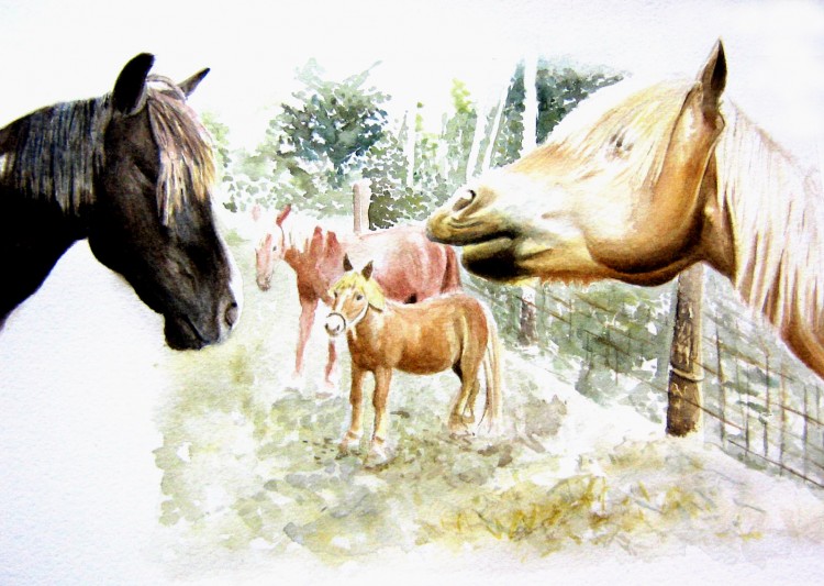 Wallpapers Art - Painting Animals Les chevaux d'Athus