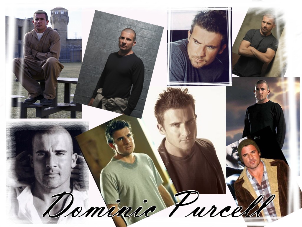 Wallpapers Celebrities Men Dominic Purcell Dominic Purcell