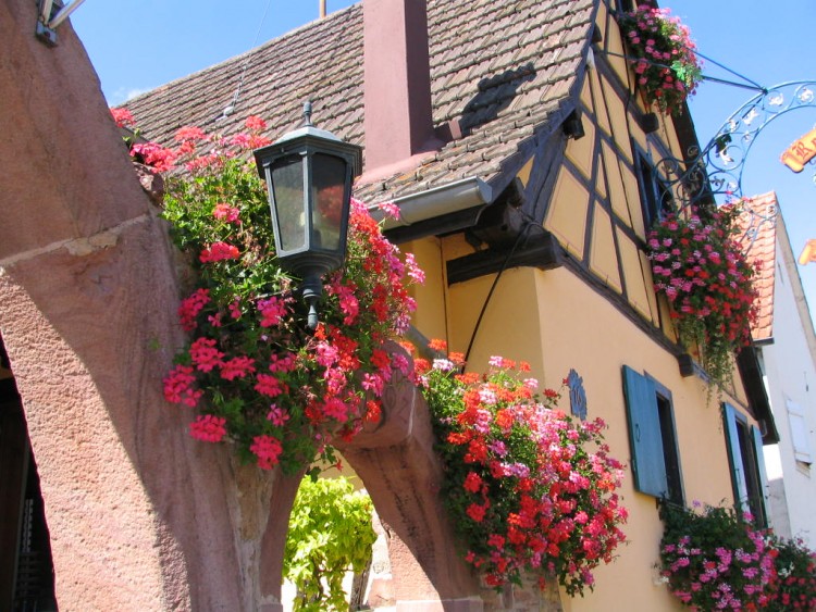 Fonds d'cran Voyages : Europe France > Alsace ALSACE EGUISHEIM 68