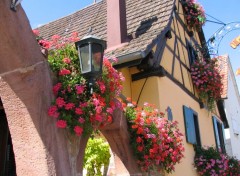 Fonds d'cran Voyages : Europe ALSACE EGUISHEIM 68