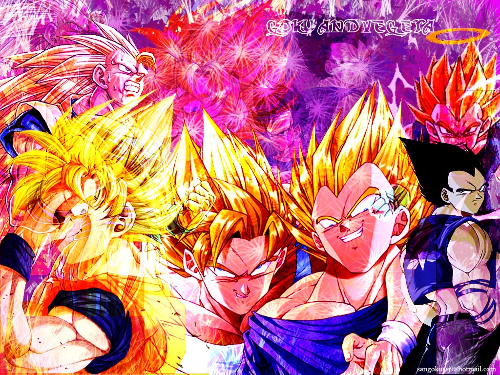 Fonds d'cran Manga Dragon Ball Z Goku and Vegeta