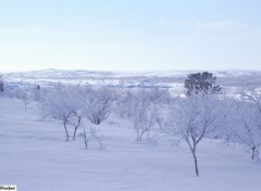 Wallpapers Trips : Europ Taiga and tundra, Finland