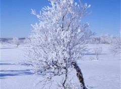 Wallpapers Trips : Europ Tundra, Finland