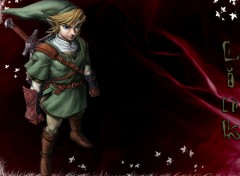 Fonds d'cran Jeux Vido Link from ZELDA TWILIGHT PRINCESS -- wii