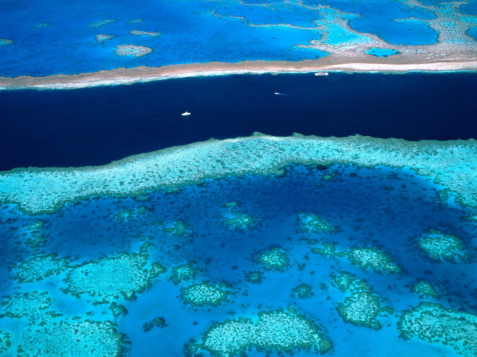 Wallpapers Nature Seas - Oceans - Beaches barriere de corail-Australie