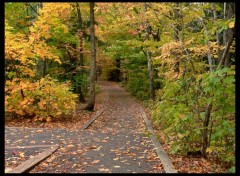 Wallpapers Nature Sentier d'automne