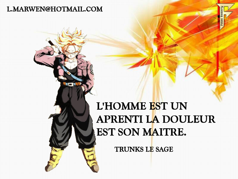 Fonds d'cran Manga Dragon Ball Z TRUNKS