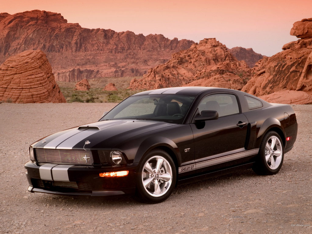 Wallpapers Cars Shelby Ford Shelby GT