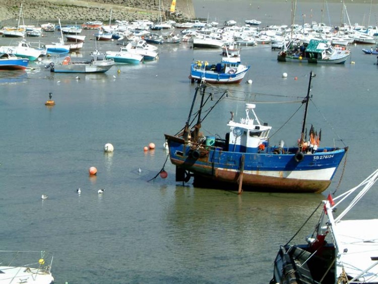 Fonds d'cran Bateaux Bateaux de pche mare basse