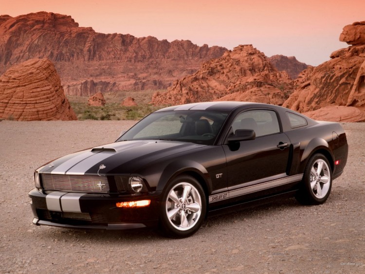 Fonds d'cran Voitures Shelby Ford Shelby GT