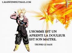 Fonds d'cran Manga TRUNKS