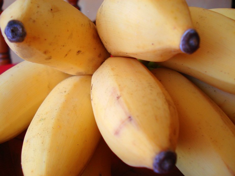 Fonds d'cran Nature Fruits BANANE 