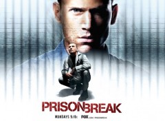 Wallpapers TV Soaps prison break