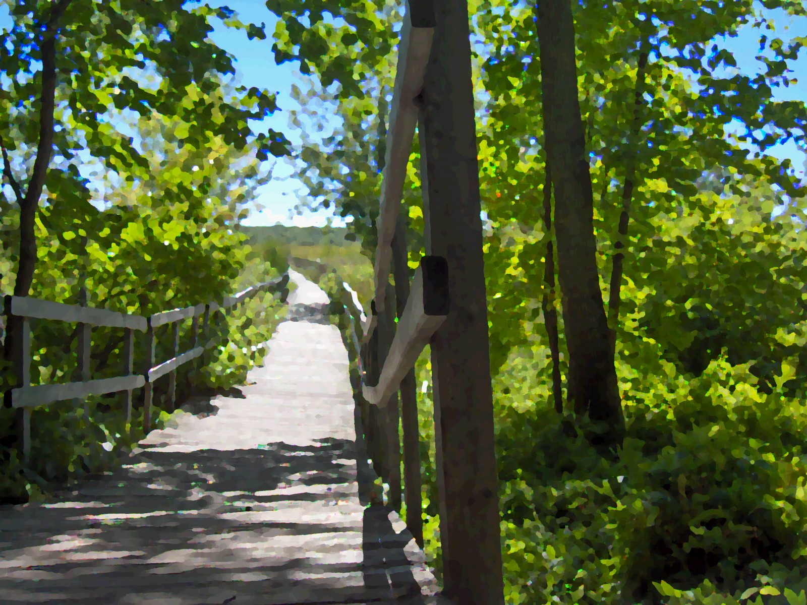 Wallpapers Nature Trees - Forests 