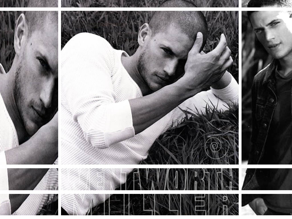 Fonds d'cran Clbrits Homme Wentworth Miller W.Miller