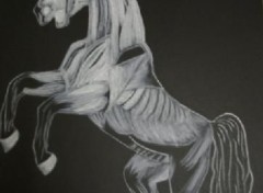 Wallpapers Art - Pencil Musculature