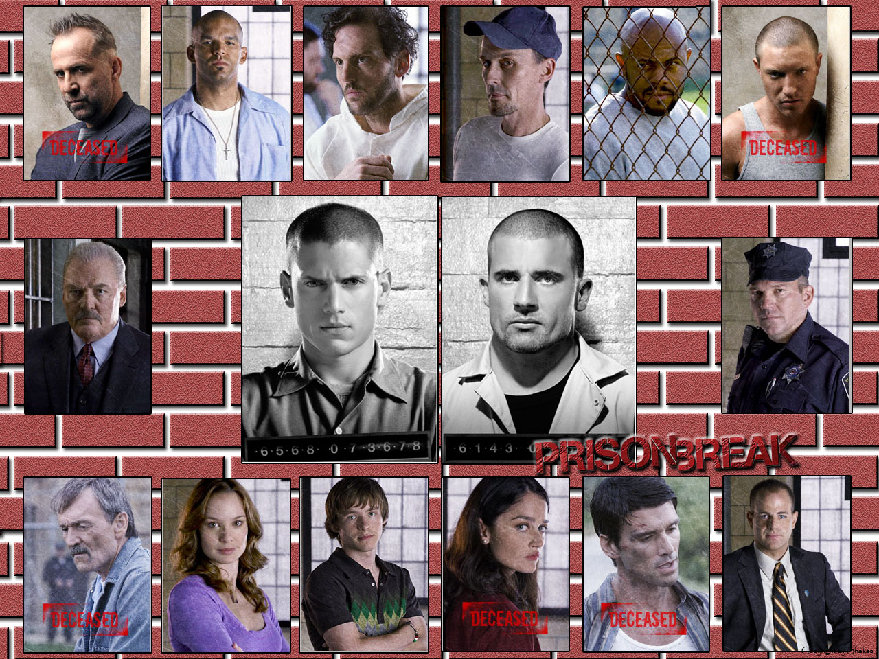 Wallpapers TV Soaps Prison Break Prison Break