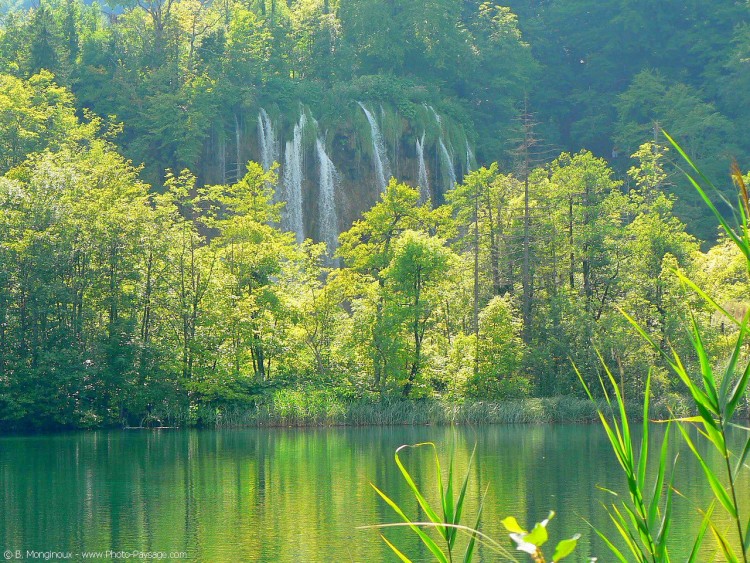 Fonds d'cran Nature Cascades - Chutes Lacs et cascades de Plitvice, Croatie