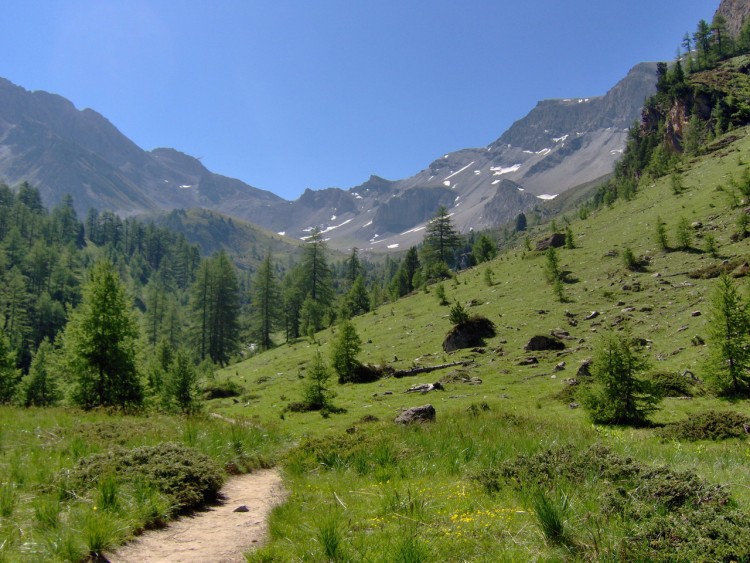 Fonds d'cran Nature Montagnes les Alpes