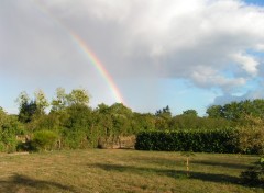 Fonds d'cran Nature arc en ciel