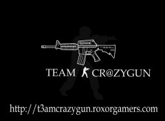 Fonds d'cran Jeux Vido tag crazygun