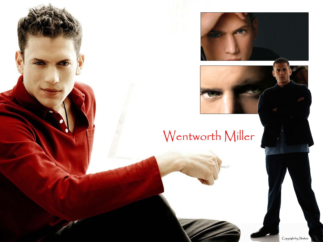 Fonds d'cran Clbrits Homme Wentworth Miller Wentworth Miller