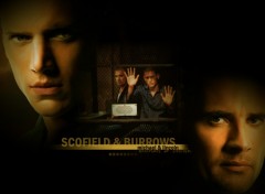 Wallpapers TV Soaps Prison Break