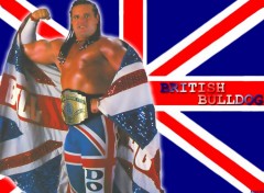 Wallpapers Sports - Leisures The british bulldog