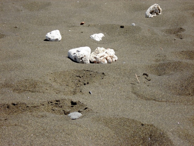 Wallpapers Nature Rocks - Stones - Sand PLAGE DE SABLE NOIR